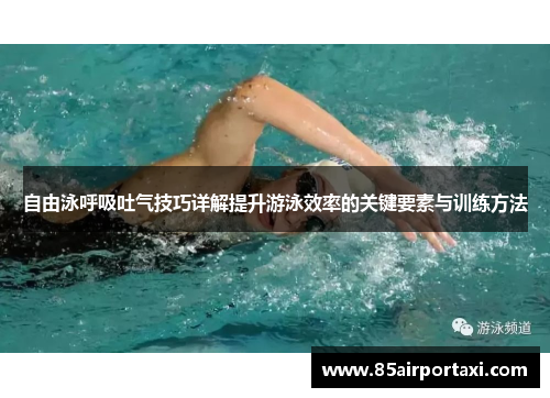 自由泳呼吸吐气技巧详解提升游泳效率的关键要素与训练方法