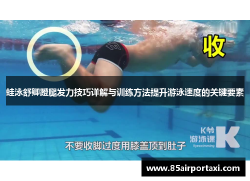 蛙泳舒卿蹬腿发力技巧详解与训练方法提升游泳速度的关键要素